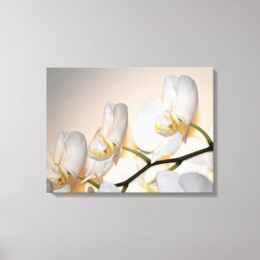 Phalaenopsis Sogo Yukidian Orchid Wrapped Canvas Afdruk (Voorkant)
