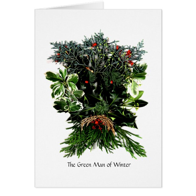 Phantasieën van Phaedra - Het groene Man van de wi (Voorkant)