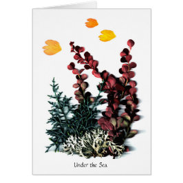 Phantasieën van Phaedra - onder het Zee