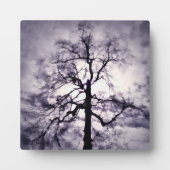 Phantastes-fotoplaquette Fotoplaat (Voorkant)