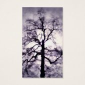 Phantastes Signet (Dos)