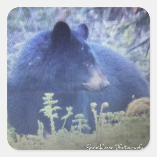 Phantom het zwarte Beer Vierkante Sticker (Voorkant)