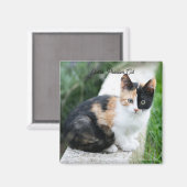 Phantom Opera Cat Magneet (Voorkant / Achterkant)