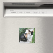 Phantom Opera Cat Magneet (Insitu (Vaatwasser))