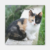 Phantom Opera Cat Magneet (Voorkant)