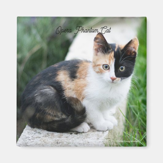 Phantom Opera Cat Magneet (Voorkant)