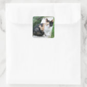 Phantom Opera Cat Vierkante Sticker (Tas)