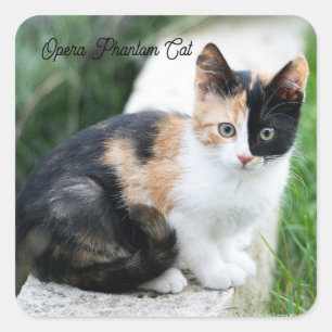 Phantom Opera Cat Vierkante Sticker