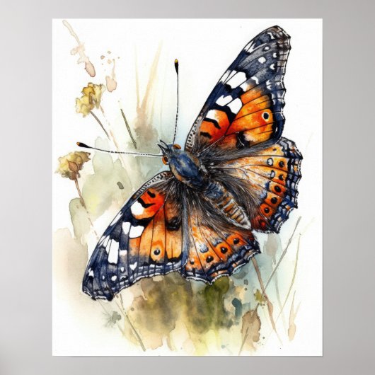 Phaon Crescent Butterfly Art Print Poster (Voorkant)