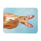 Pharaoh Hond Painting - Cute Original Dog Art Magneet (Horizontaal)
