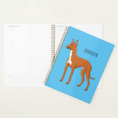 Pharaoh hound dog cartoon illustration (Devant avec enveloppe)