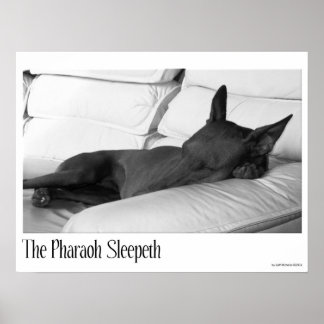 Pharaoh Hound | Pharoah Sleepeth Poster