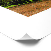 Phare Avec Nom de Jésus Beaux Art Photographie (Coin)