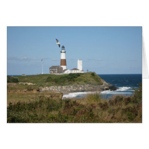 Phare de MONTAUK Seagull Love