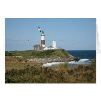 Phare de MONTAUK Seagull Love