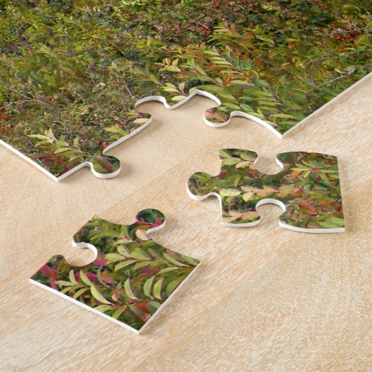 Phare de Nauset, puzzle de Cape Cod le (Côté)