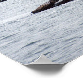 Phare de Plum Beach - Poster 1999 (Coin)