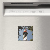 Phare St Augustine, Floride Magnet (In Situ (Lave-vaisselle))