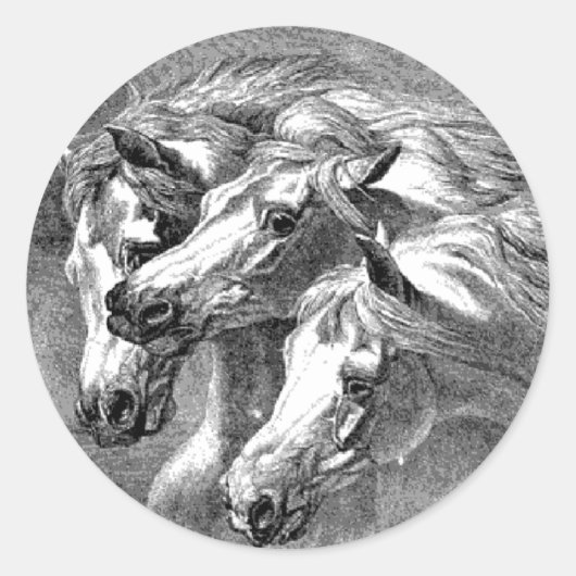  Pharoah Paard Illustratie Sticker (Voorkant)