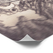 pharoah sk3 str poster (Hoek)