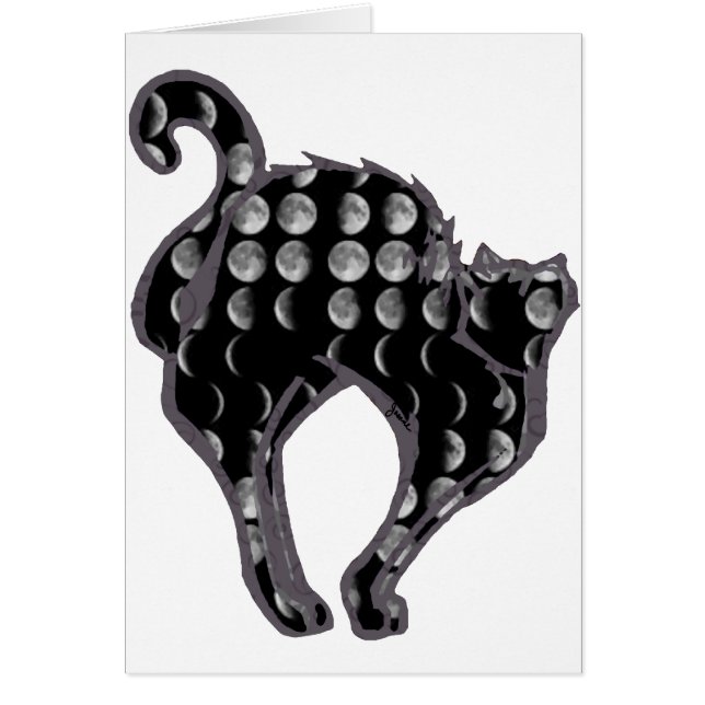 Phase Kitty de lune (Devant)