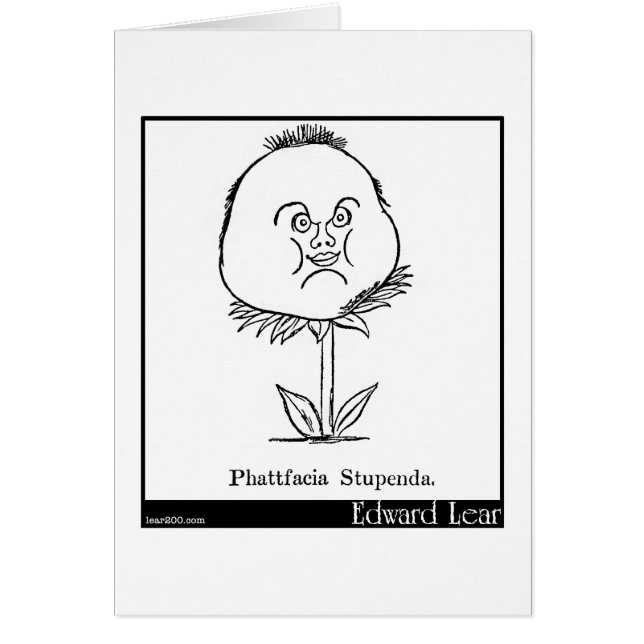 Phattfacia Stupenda. (Devant)