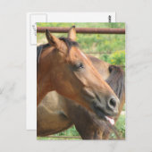 Phbttttt!!! Briefkaart (Voorkant / Achterkant)