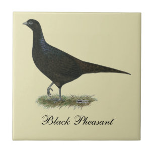 Pheasant Black Hen Tegeltje