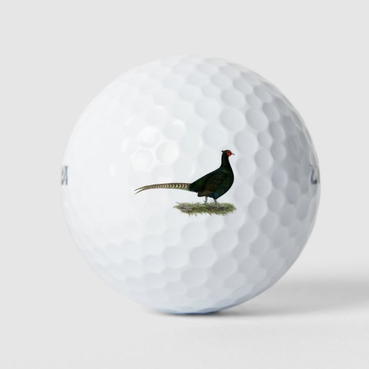 Pheasant Black Rooster Golfballen (Voorkant)