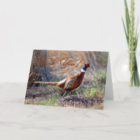 Pheasant-foto met ringzegens Hartelijk dank