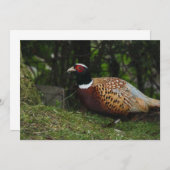Pheasant Invitation Kaart (Voorkant / Achterkant)
