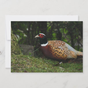 Pheasant Invitation Kaart