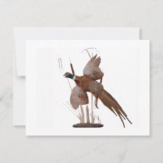 Pheasant Mount