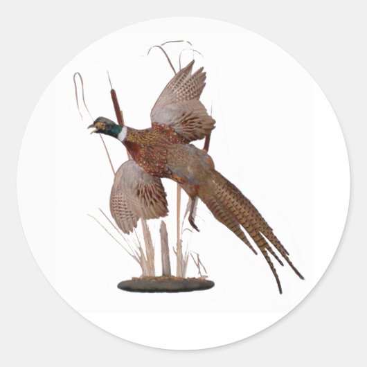 Pheasant Mount Ronde Sticker (Voorkant)