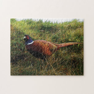 Pheasant Puzzle Legpuzzel