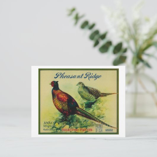 Pheasant Ridge Apple Crate Label Briefkaart (Staand voorkant)