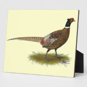 Pheasant Rooster Fotoplaat (Zijkant)