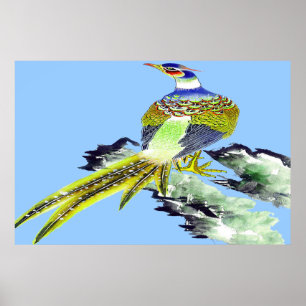 Pheasant Standing poster Drawing 5