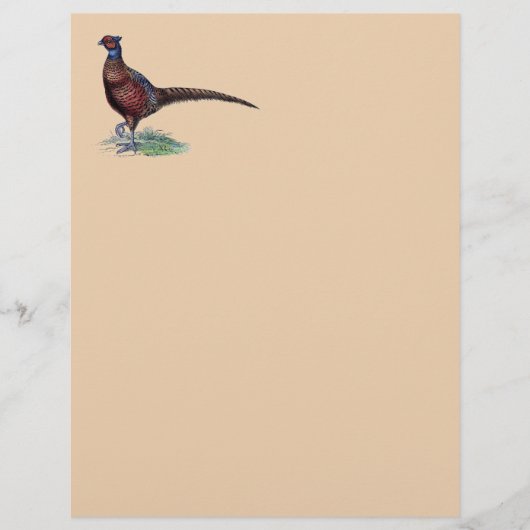 Pheasant Strutt (Voorkant)