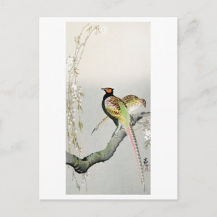 Pheasants and cherry blossom - Ohara Koson - Briefkaart