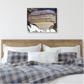 Phellinus igniarius Mushroom Canvas Afdrukken (Insitu (Slaapkamer))
