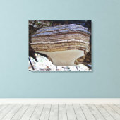 Phellinus igniarius Mushroom Canvas Afdrukken (Insitu (Houten vloer))