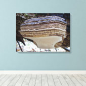 Phellinus igniarius Mushroom Canvas Afdrukken (Insitu (Houten vloer))