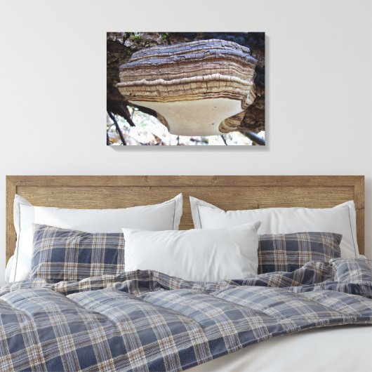 Phellinus igniarius Mushroom Canvas Afdrukken (Insitu (Slaapkamer))