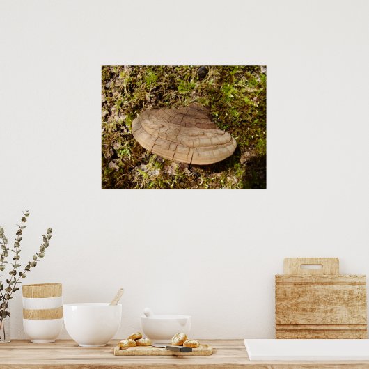 Phellinus igniarius Poster van paddenstoelen (Keuken)