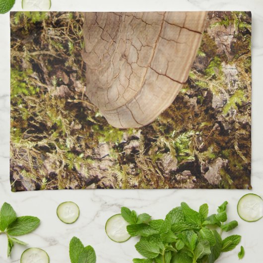 Phellinus igniarius Serviette de thé de champignon (Plié)