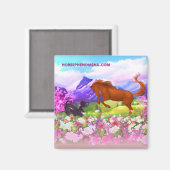 Phenomena Spring Magnet Magneet (Voorkant / Achterkant)