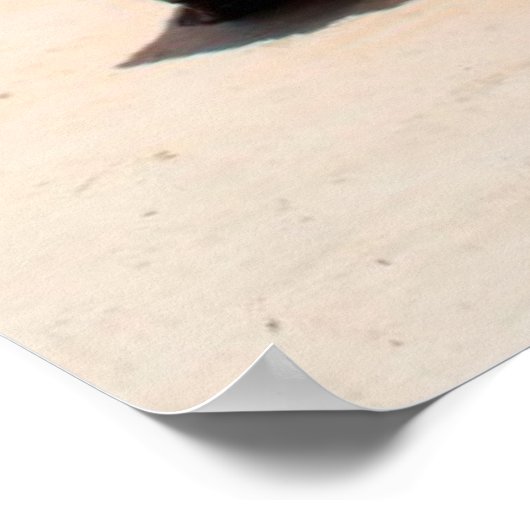 Phi Phi-eiland Poster (Hoek)