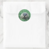Phil Groundhog Ronde Sticker (Tas)