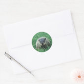 Phil Groundhog Ronde Sticker (Envelop)